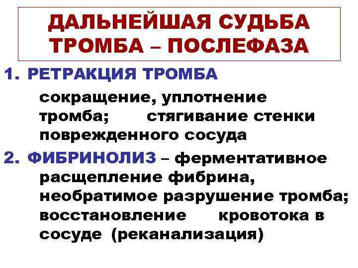 ДАЛЬНЕЙШАЯ СУДЬБА ТРОМБА – ПОСЛЕФАЗА 1. РЕТРАКЦИЯ ТРОМБА сокращение, уплотнение тромба; стягивание стенки поврежденного