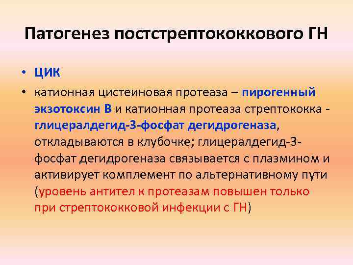 Патогенез постстрептококкового ГН • ЦИК • катионная цистеиновая протеаза – пирогенный экзотоксин В и