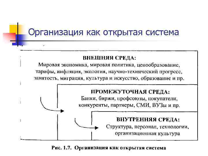 Организация как открытая система 