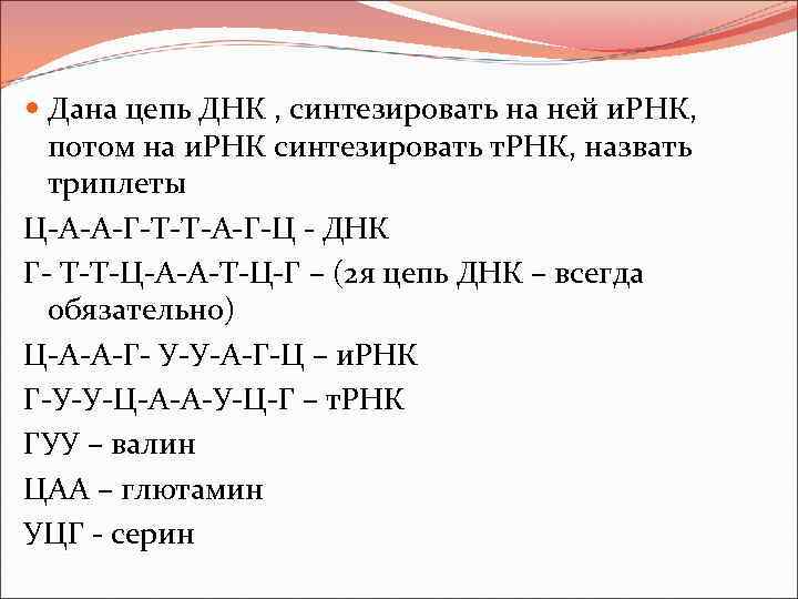 Сколько триплетов содержит цепь днк