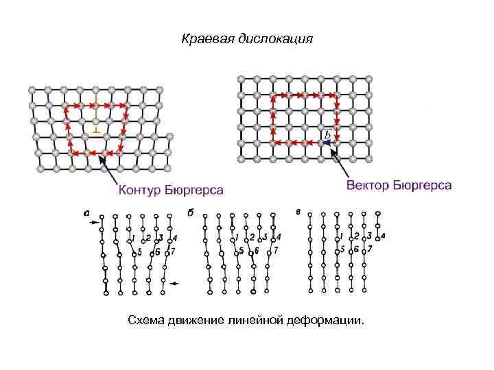 Время дислокации. Вектор Бюргерса винтовой дислокации. Схема краевой дислокации в кристаллической решетке. Вектор Бюргерса краевой дислокации. Схема дислокации.