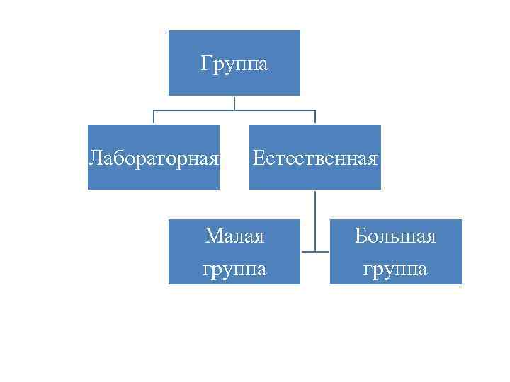 Группа Лабораторная Естественная Малая Большая группа 