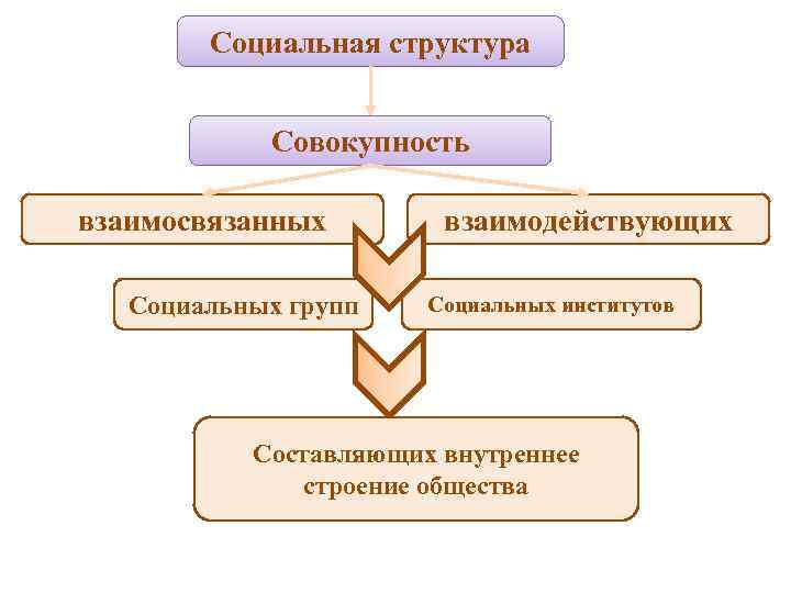 Социальная структура Совокупность взаимосвязанных Социальных групп взаимодействующих Социальных институтов Составляющих внутреннее строение общества 