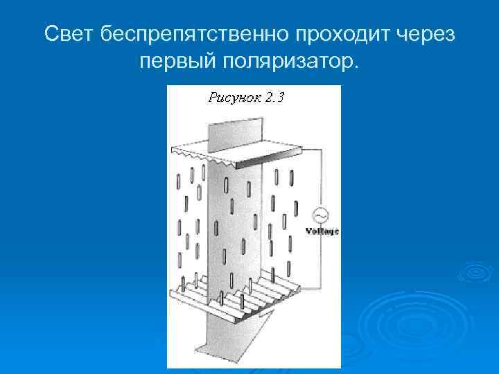 Свет беспрепятственно проходит через первый поляризатор. 