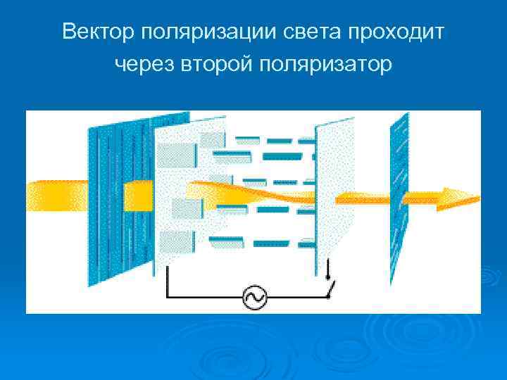 Вектор поляризации света проходит через второй поляризатор 