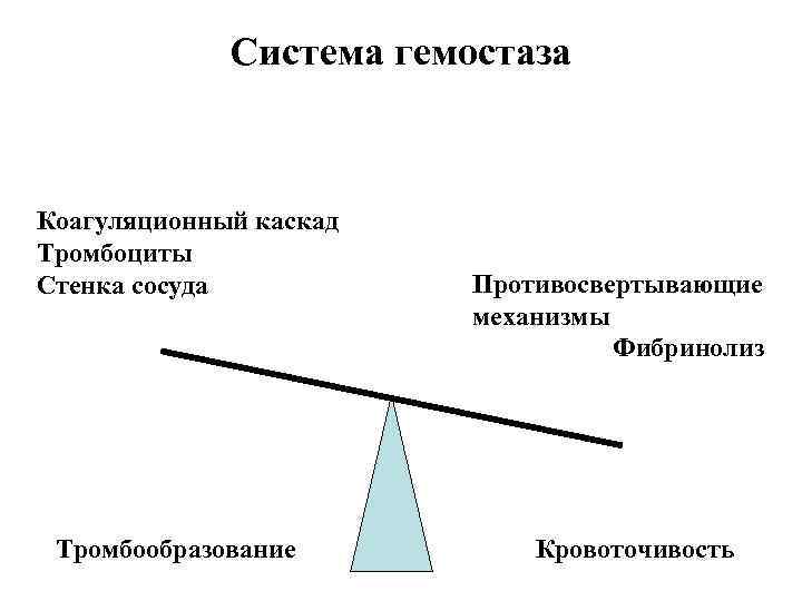 Система гемостаза Коагуляционный каскад Тромбоциты Стенка сосуда Тромбообразование Противосвертывающие механизмы Фибринолиз Кровоточивость 
