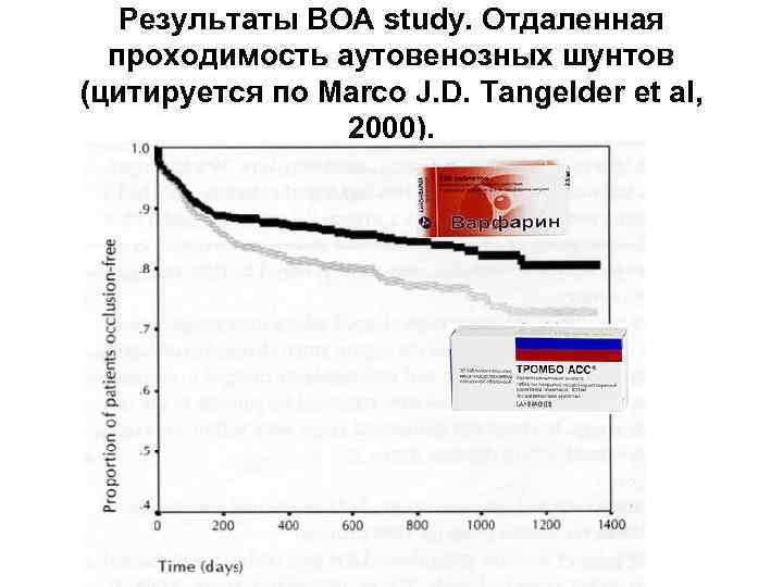 Результаты BOA study. Отдаленная проходимость аутовенозных шунтов (цитируется по Marco J. D. Tangelder et
