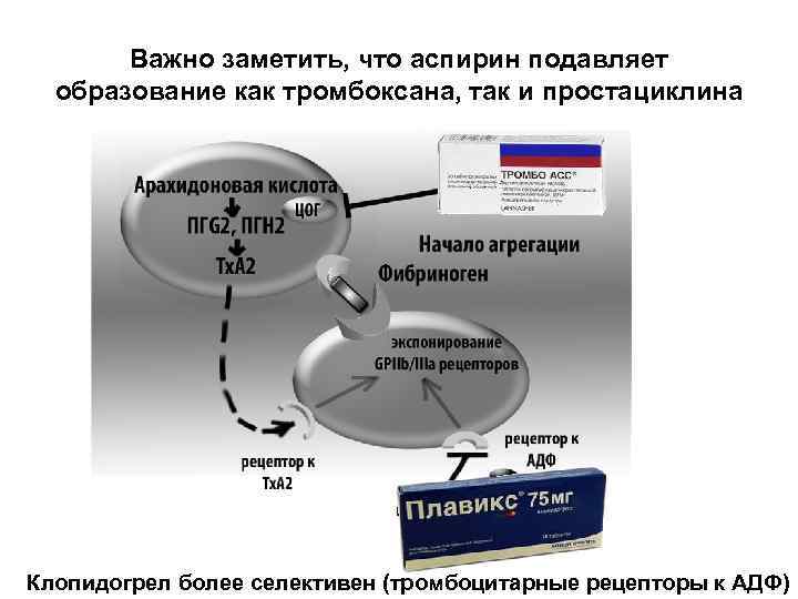 Переход с брилинты на клопидогрел схема