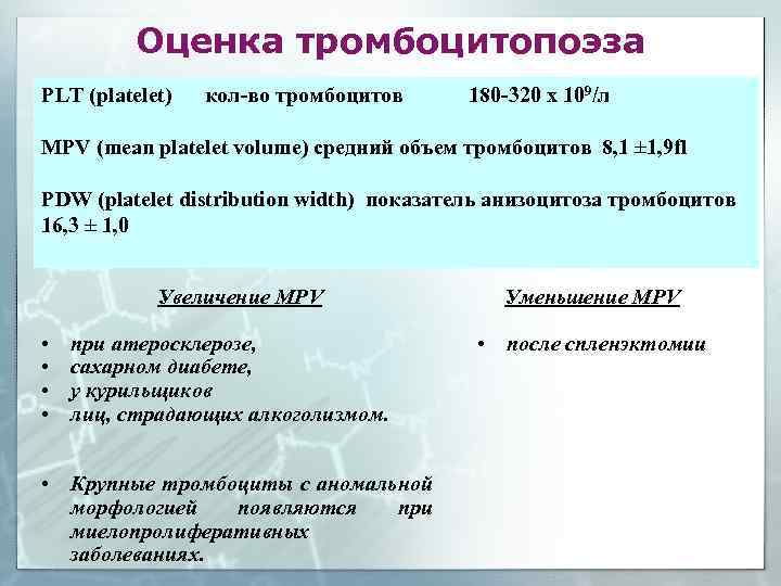 Тромбоцитопоэз происходит в красном мозге по схеме