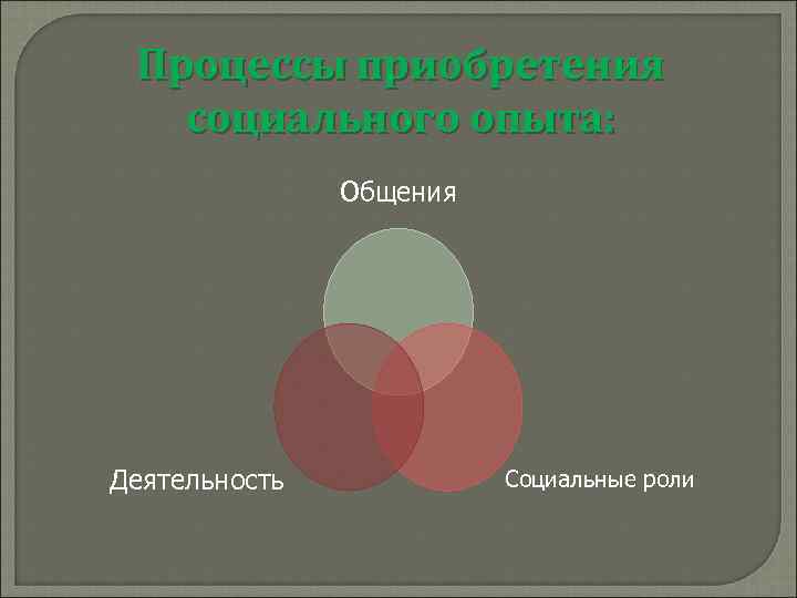 Процессы приобретения социального опыта: Общения Деятельность Социальные роли 