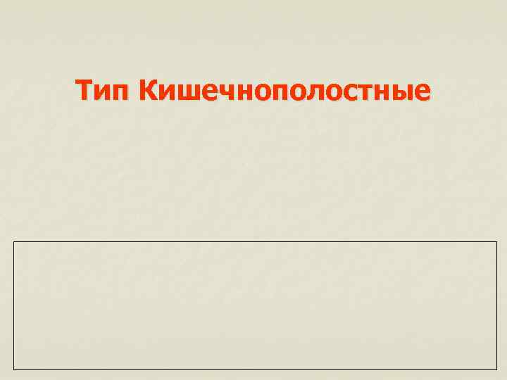 Тип Кишечнополостные 