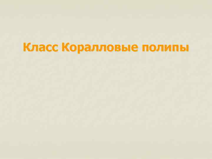 Класс Коралловые полипы 