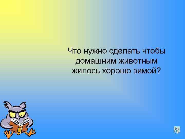 Что нужно сделать чтобы домашним животным жилось хорошо зимой? 