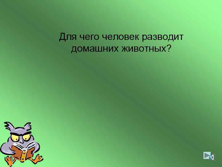 Для чего человек разводит домашних животных? 