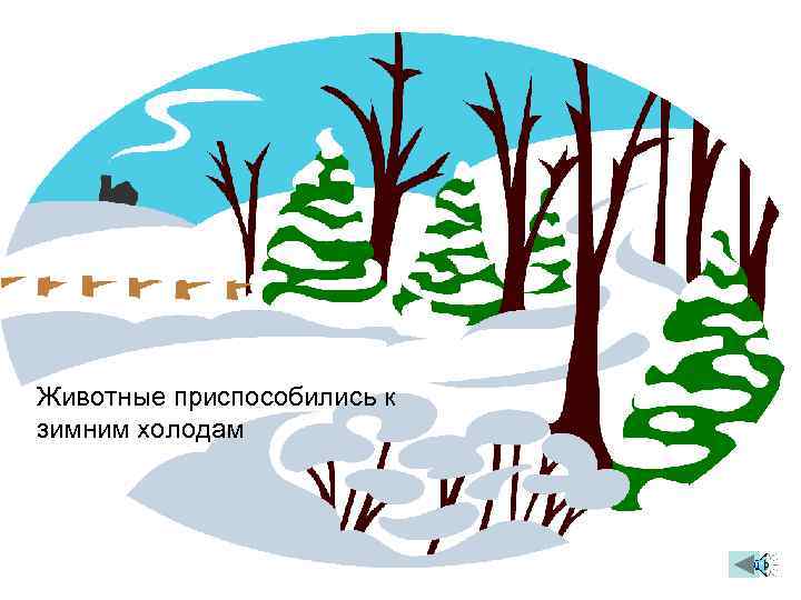 Животные приспособились к зимним холодам 