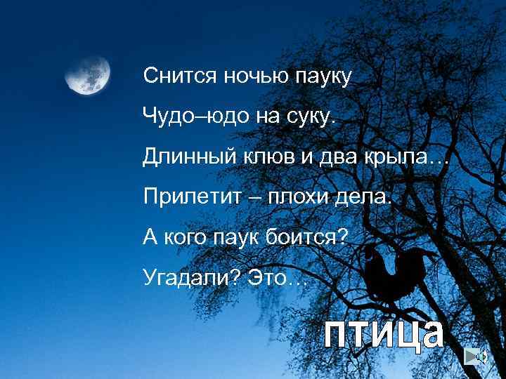 Снится ночью пауку Чудо–юдо на суку. Длинный клюв и два крыла… Прилетит – плохи