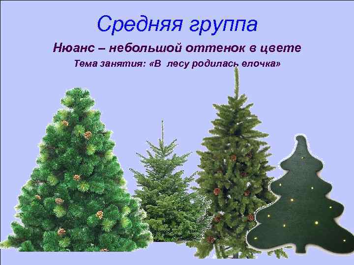 Средняя группа Нюанс – небольшой оттенок в цвете Тема занятия: «В лесу родилась елочка»