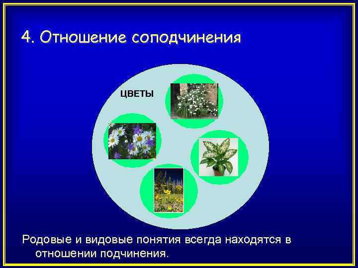 Родовые и видовые понятия. Видовые и родовые названия. Видовые понятия цветка. Видовое понятие для родового понятия цветок это. Объединение родовых и видовых понятий пример.