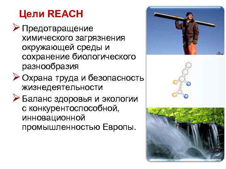 Цели REACH Ø Предотвращение химического загрязнения окружающей среды и сохранение биологического разнообразия Ø Охрана