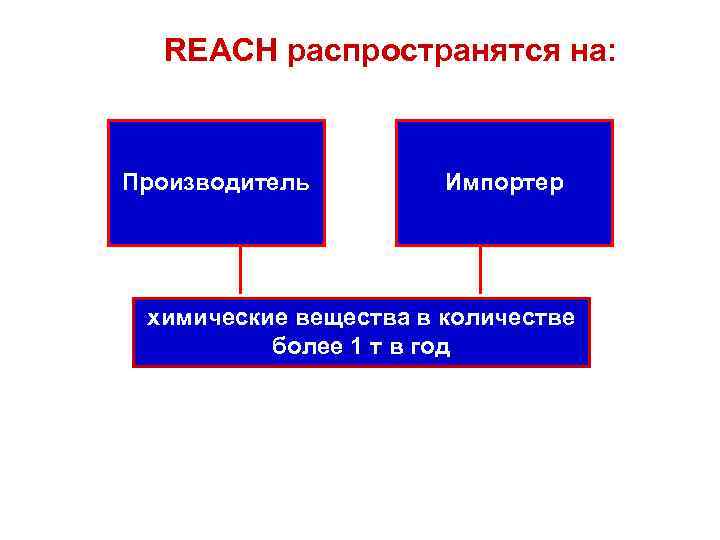 REACH распространятся на: Производитель Импортер химические вещества в количестве более 1 т в год