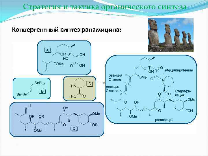  Стратегия и тактика органического синтеза Конвергентный синтез рапамицина: 