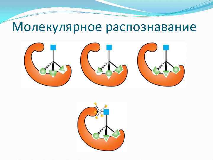 Молекулярное распознавание 