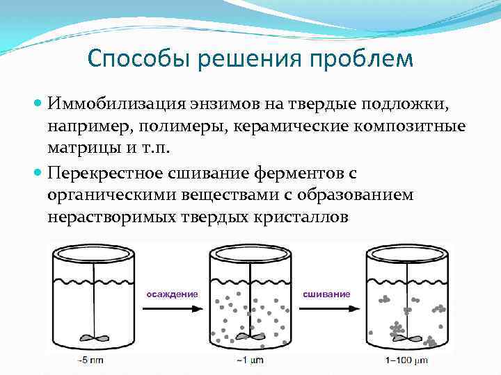  Способы решения проблем Иммобилизация энзимов на твердые подложки, например, полимеры, керамические композитные матрицы