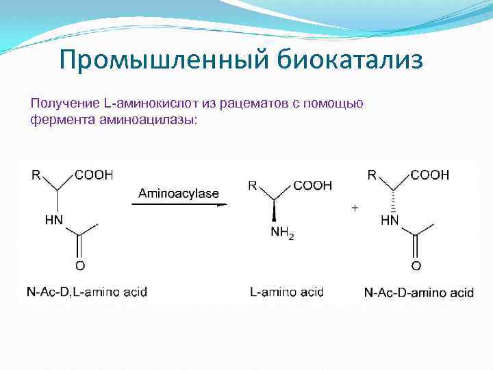  Промышленный биокатализ Получение L-аминокислот из рацематов с помощью фермента аминоацилазы: 