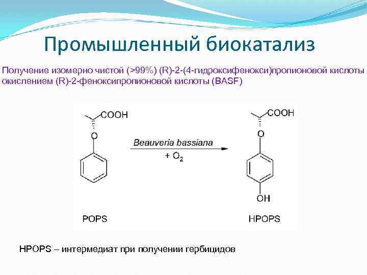  Промышленный биокатализ Получение изомерно чистой (>99%) (R)-2 -(4 -гидроксифенокси)пропионовой кислоты окислением (R)-2 -феноксипропионовой