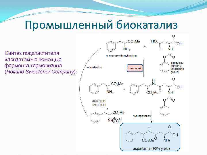  Промышленный биокатализ Синтез подсластителя «аспартам» с помощью фермента термолизина (Holland Sweetener Company): 