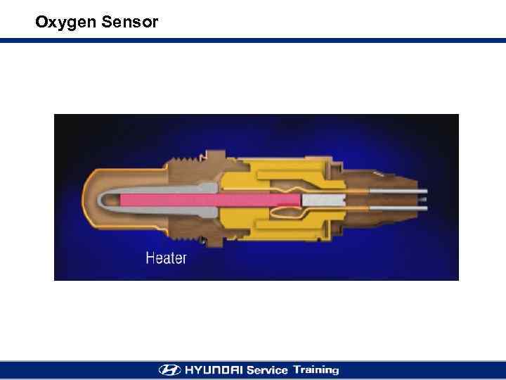 Oxygen Sensor 