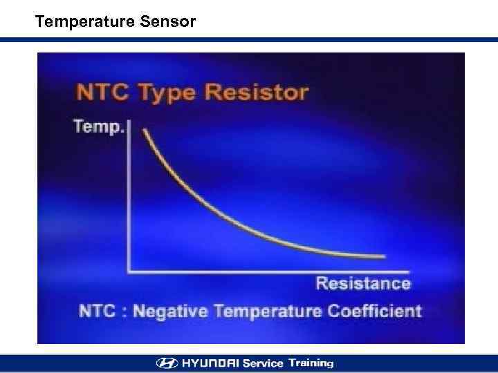 Temperature Sensor 