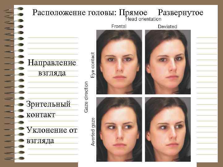 Расположение головы: Прямое Направление взгляда Зрительный контакт Уклонение от взгляда Развернутое 