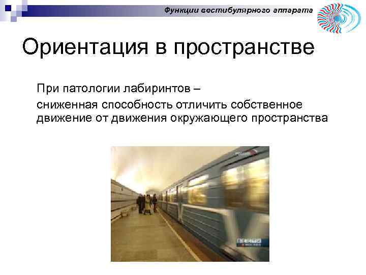 Функции вестибулярного аппарата Ориентация в пространстве При патологии лабиринтов – сниженная способность отличить собственное