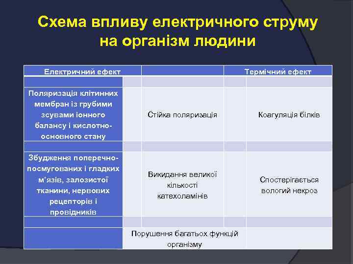 Схема впливу електричного струму на організм людини Електричний ефект Поляризація клітинних мембран із грубими