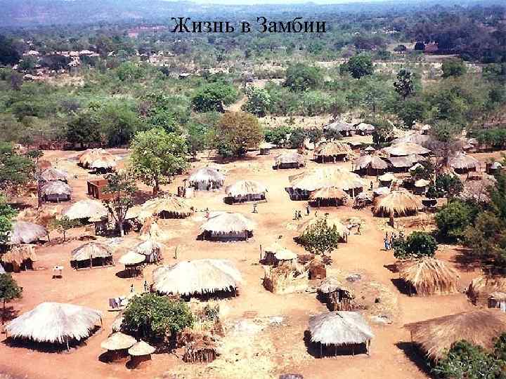 Жизнь в Замбии 