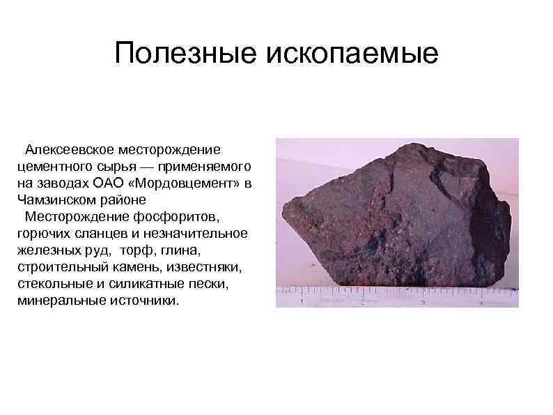 Полезные ископаемые Алексеевское месторождение цементного сырья — применяемого на заводах ОАО «Мордовцемент» в Чамзинском