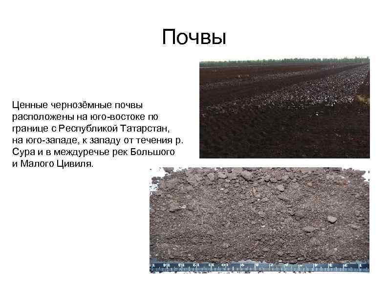 Почвы Ценные чернозёмные почвы расположены на юго-востоке по границе с Республикой Татарстан, на юго-западе,