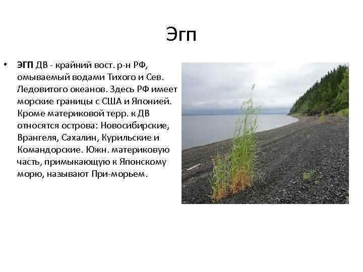 Эгп • ЭГП ДВ крайний вост. р н РФ, омываемый водами Тихого и Сев.