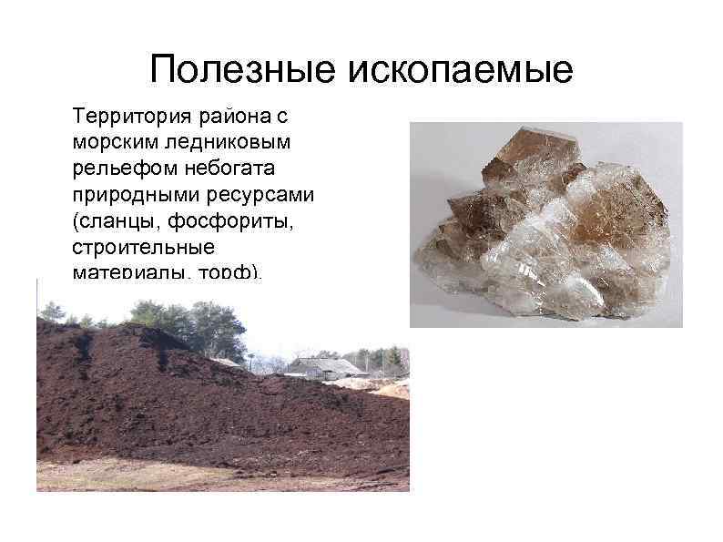 Полезные ископаемые Территория района с морским ледниковым рельефом небогата природными ресурсами (сланцы, фосфориты, строительные