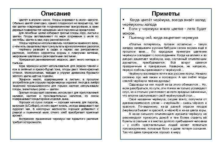 Описание Цветёт в апреле—июне. Плоды созревают в июле—августе. Обильно цветёт ежегодно, однако плодоносит не