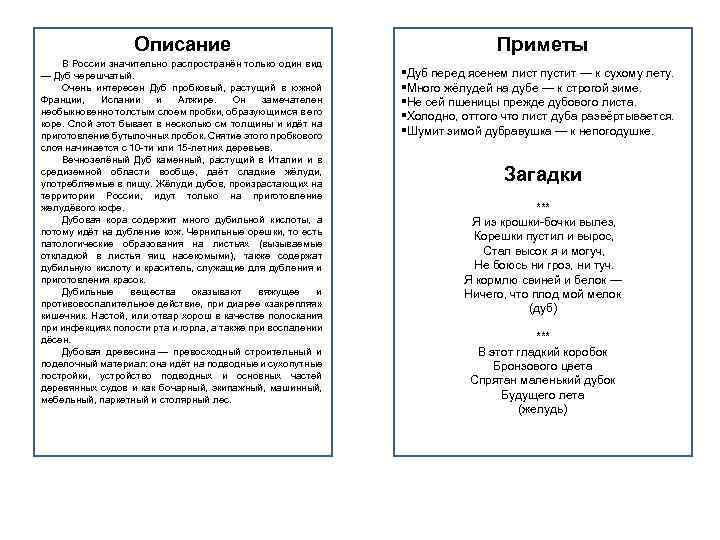 Описание В России значительно распространён только один вид — Дуб черешчатый. Очень интересен Дуб