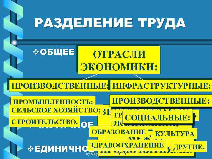 РАЗДЕЛЕНИЕ ТРУДА v ОБЩЕЕ ОТРАСЛИ ЭКОНОМИКИ: ПРОИЗВОДСТВЕННЫЕ: ИНФРАСТРУКТУРНЫЕ: ПРОИЗВОДСТВЕННЫЕ: ПРОМЫШЛЕННОСТЬ; СЕЛЬСКОЕ ХОЗЯЙСТВО; ВНУТРИ ОТРАСЛИ