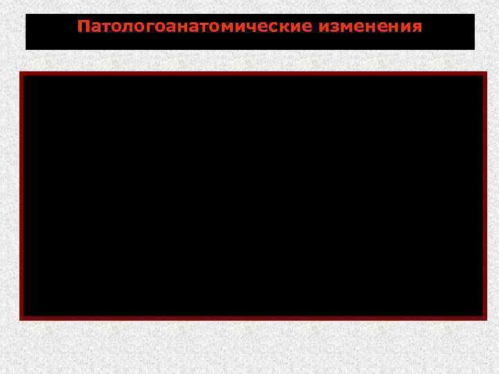 Патологоанатомические изменения 