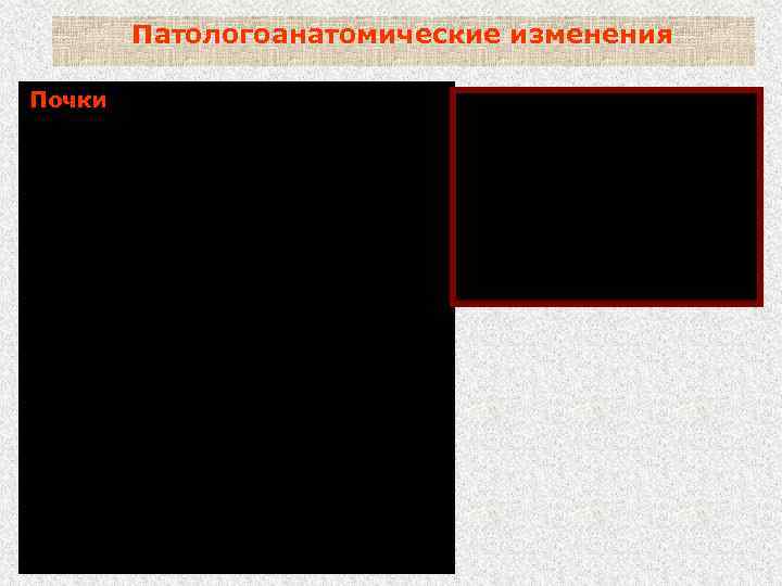 Патологоанатомические изменения Почки - увеличены, дряблые; - вишнево-глинистого, сероватокрасного или темно-коричневого с зеленоватым оттенком
