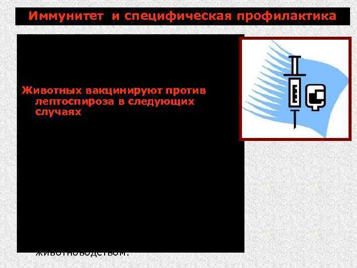 Иммунитет и специфическая профилактика У переболевших животных формируется вначале нестерильный, а затем стерильный иммунитет.