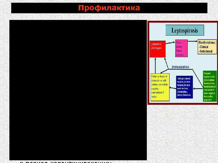 Профилактика учет числа абортов и лабораторные исследования патматериала; комплектование племенных хозяйств (ферм), предприятий, станций