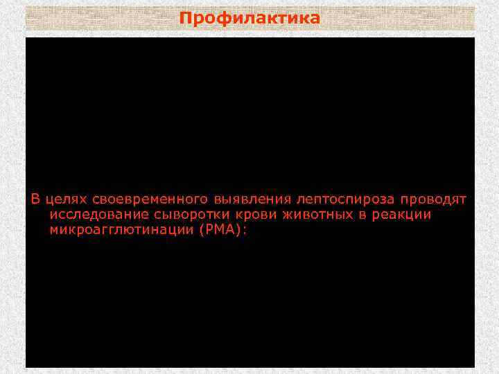 Профилактика не выпасать невакцинированных животных на территории природных очагов лептоспироза; не устраивать летних лагерей