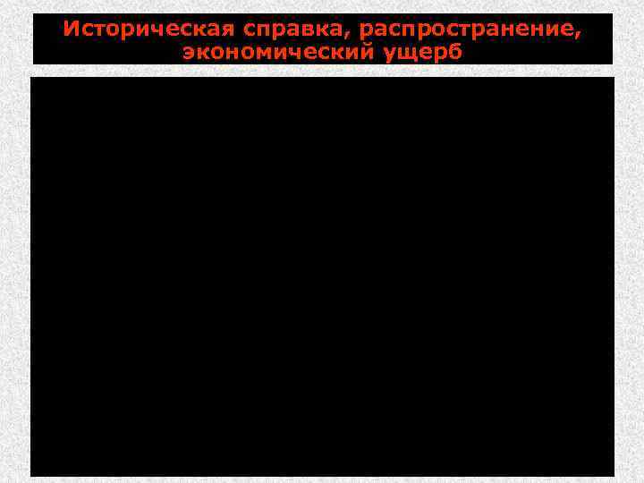 Историческая справка, распространение, экономический ущерб 1886 г. - первое описание лептоспироза у человека в