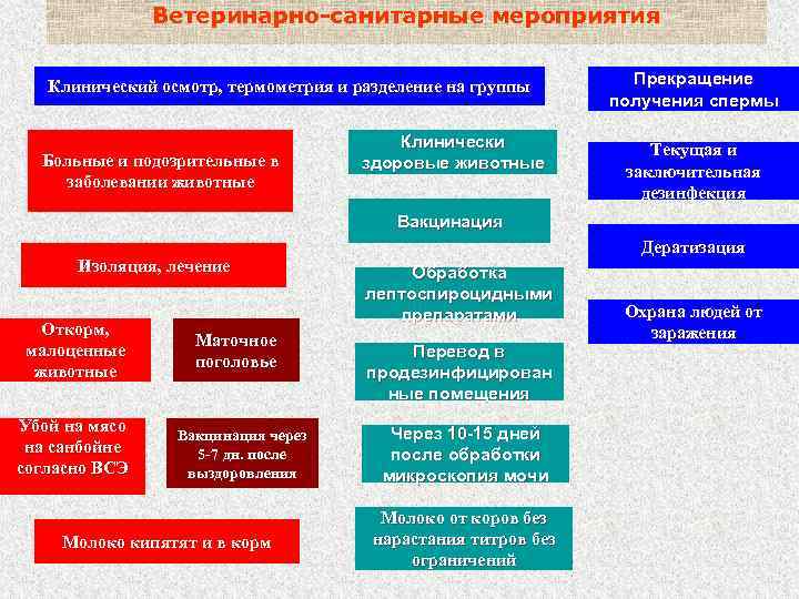 Проведение ветеринарно санитарных мероприятий